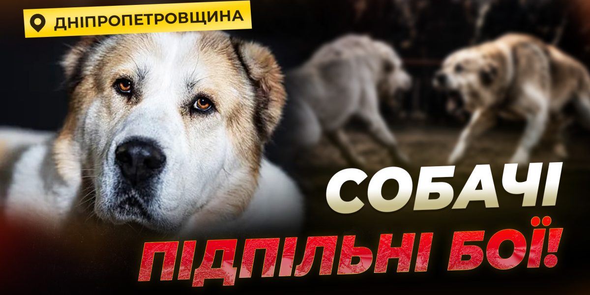 Дніпровські зоозахисники викрили підпільні собачі бої на Криворіжжі