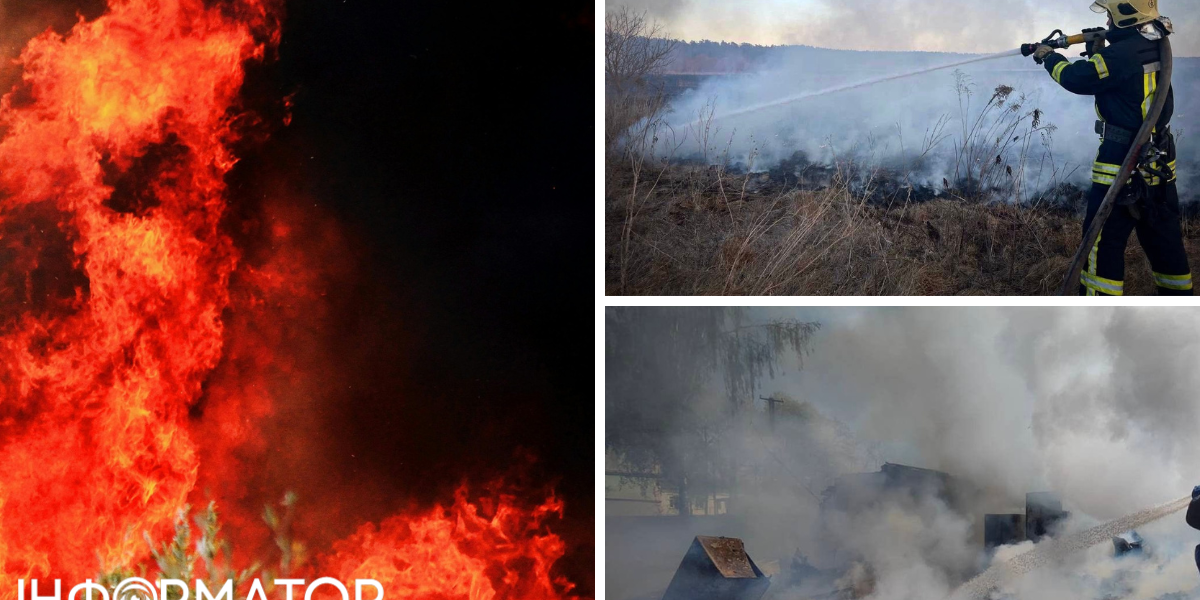 Пожежа на Чернігівщині: вогонь прямує до Росії, загасити полум'я не можуть