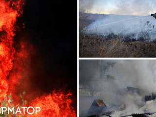 Пожежа на Чернігівщині: вогонь прямує до Росії, загасити полум'я не можуть
