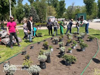 Дніпро квітучий: нова ландшафтна клумба в парку Глоби