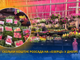 Ціни на розсаду у Дніпрі: скільки коштує овочева та квіткова розсада на «Озерці» у травні