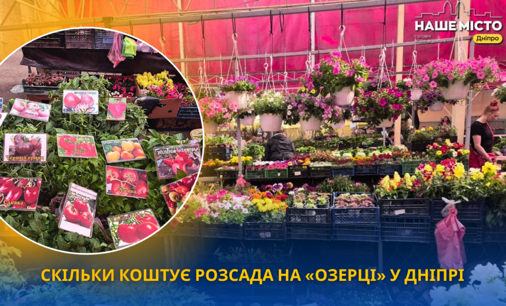 Ціни на розсаду у Дніпрі: скільки коштує овочева та квіткова розсада на «Озерці» у травні