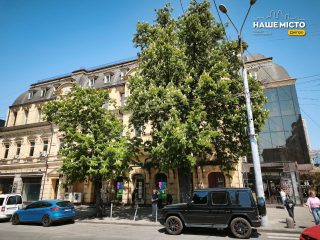 Дніпро у білому: сезон цвітіння каштанів розпочався