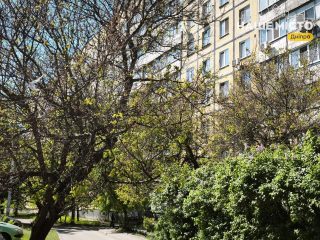 Абрикоси в Дніпрі знову почорніли: чи буде врожай у 2026 році