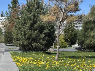 Погода в Дніпрі 8 травня: безхмарне небо та прикмети