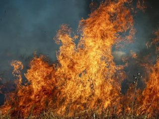 Дніпро: оголошено надзвичайний рівень пожежної небезпеки