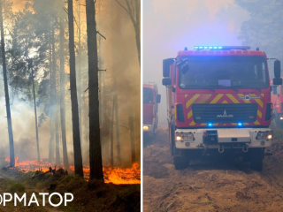 Лісова пожежа на Чернігівщині: рятувальники локалізували вогонь, Дніпро стежить за подіями