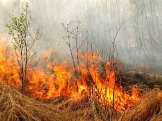 Надзвичайна пожежна небезпека в Дніпропетровській області