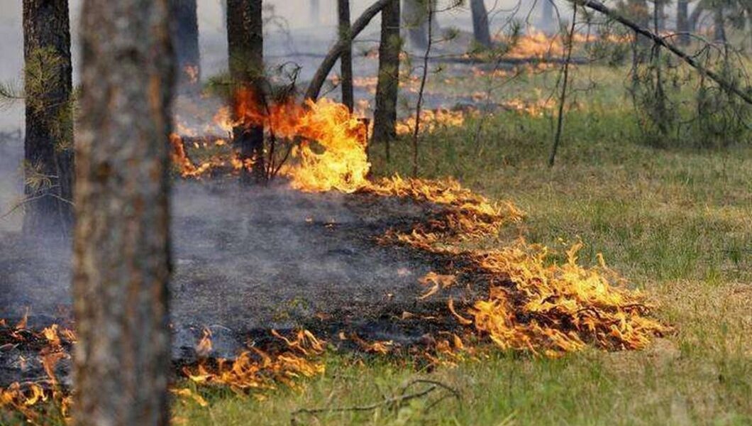 Дніпро під загрозою пожеж: як зберегти себе та місто
