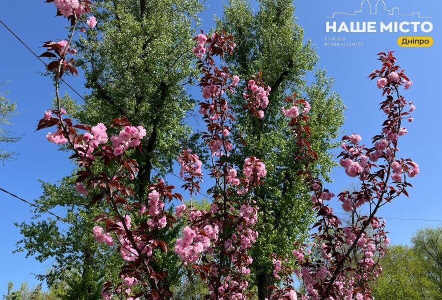 11 травня: яких традицій дотримуються дніпряни
