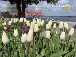 Дніпро просинається: ніч без обстрілів та свято матері