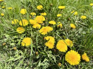 Дніпро: погода на понеділок, 11 травня 2026 року