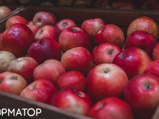 Яблучний колапс у Дніпрі: ціни впали, але попит залишається низьким