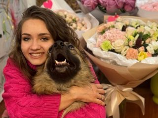 Дніпро рятує тварин: від байдужості до дії