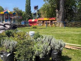 Дніпро квітне: у парку Глоби з'явився новий квітковий простір