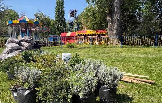 Дніпро квітне: у парку Глоби з'явився новий квітковий простір