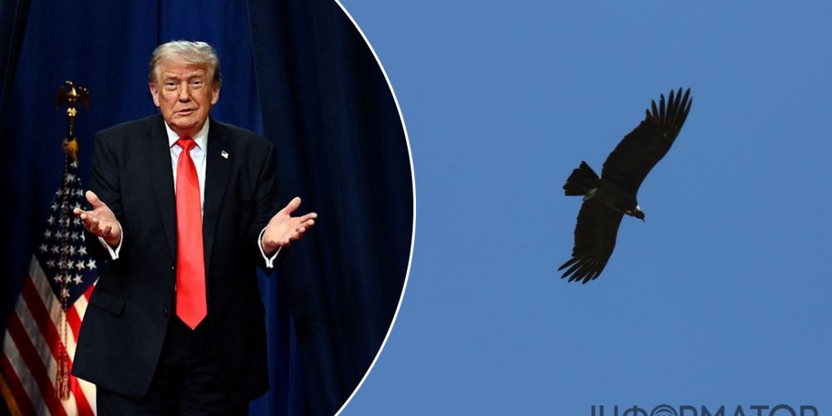Дніпро: Трамп сплутав пташку з дроном під час промови